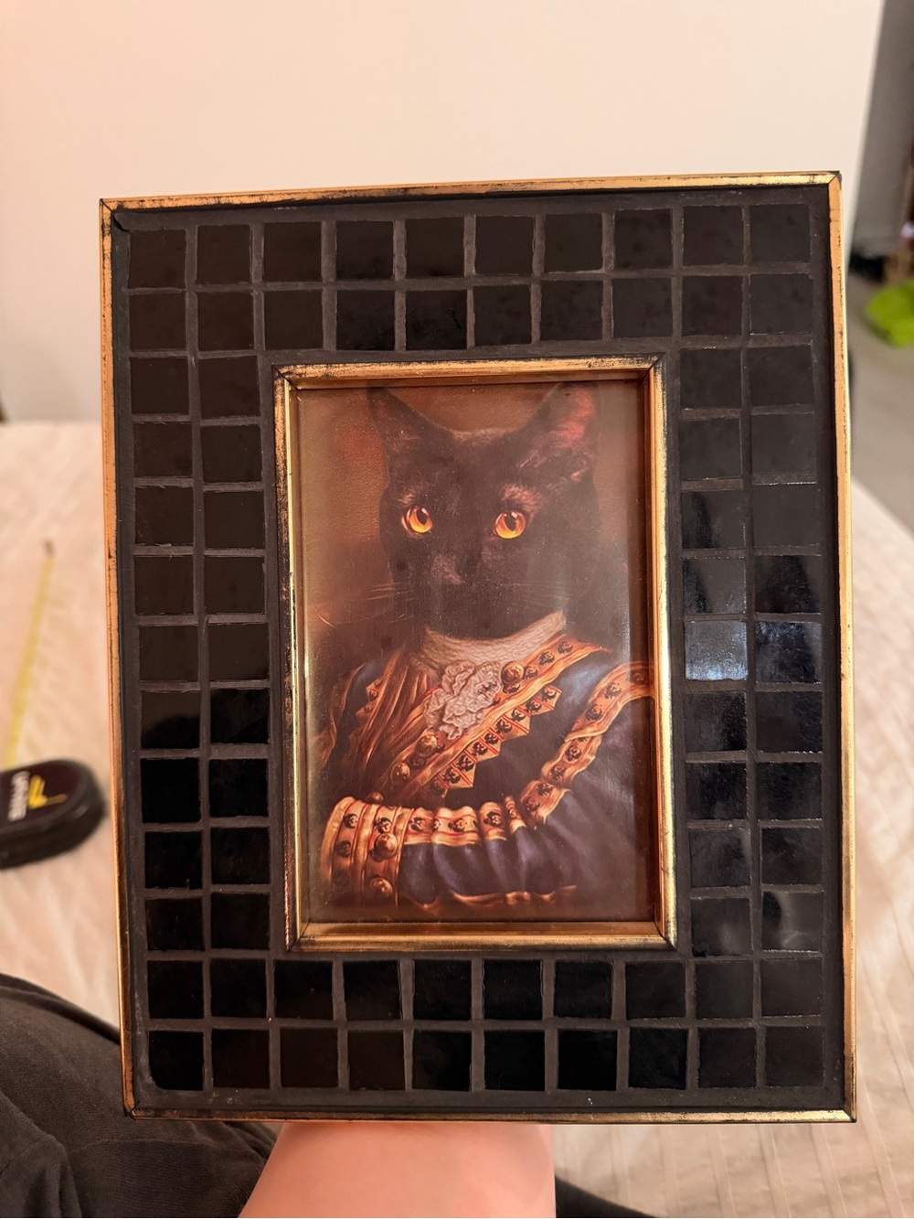 Cat Portrait - Picture 5 of 6